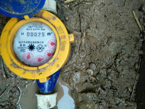 如何正確讀取水表，精準(zhǔn)掌握家庭用水量